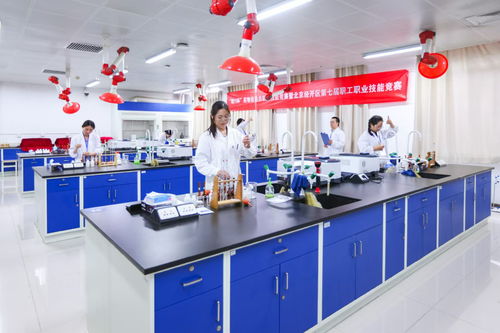 北京經(jīng)開區(qū)舉辦“精藝杯”藥物檢驗(yàn)員職業(yè)技能競(jìng)賽，助推產(chǎn)業(yè)人才高地建設(shè)